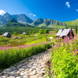 Kamienista ścieżka prowadzi przez kwieciste łąki do górskich chat. Tatry zachwycają, pokazując, co warto zwiedzić w Polsce.