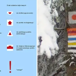 Kolor szlaku ma znaczenie! Na drzewie widać oznaczenia szlaków turystycznych, które pomagają w nawigacji zimą.