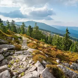 Kamienista ścieżka w górach w okolicach Szklarskiej Poręby, z widokiem na zielone lasy i łagodne pasma górskie w oddali.
