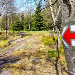 Czerwony szlak turystyczny oznacza główny szlak. Strzałka na drzewie wskazuje kierunek.