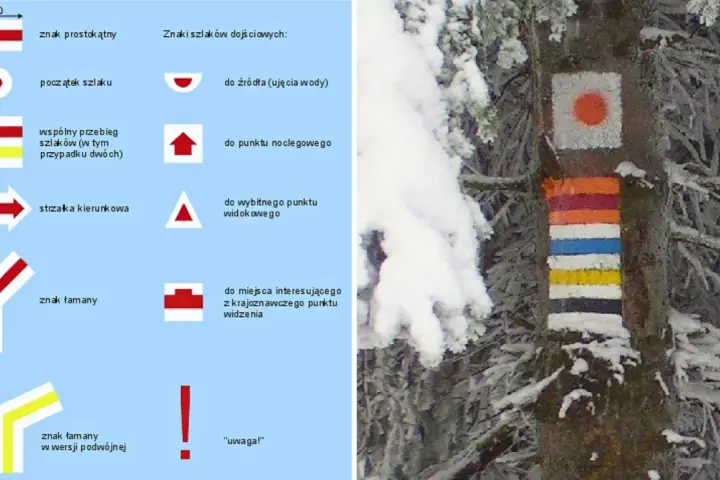 Kolor szlaku ma znaczenie! Na drzewie widać oznaczenia szlaków turystycznych, które pomagają w nawigacji zimą.
